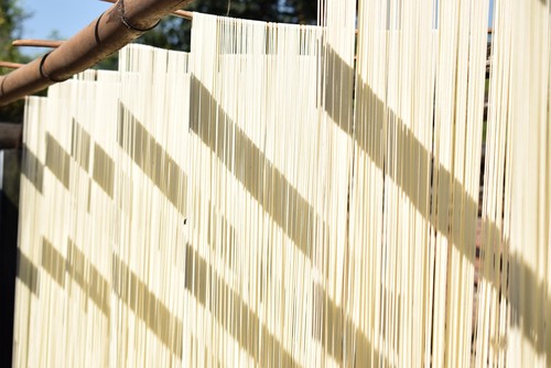 大学生志愿者暑期三下乡,助力走马镇旅游产业